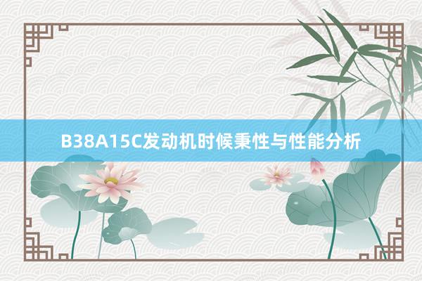 B38A15C发动机时候秉性与性能分析