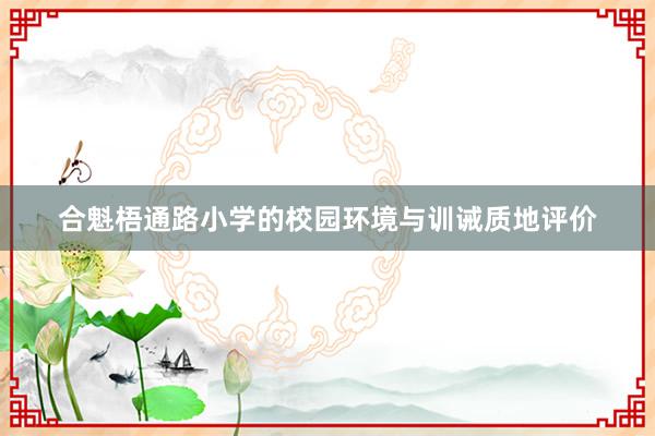 合魁梧通路小学的校园环境与训诫质地评价