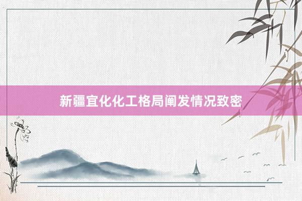 新疆宜化化工格局阐发情况致密