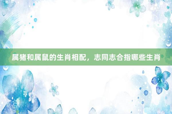 属猪和属鼠的生肖相配，志同志合指哪些生肖