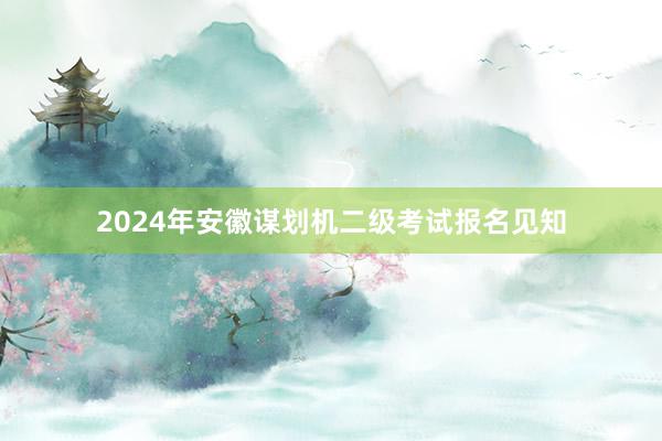 2024年安徽谋划机二级考试报名见知