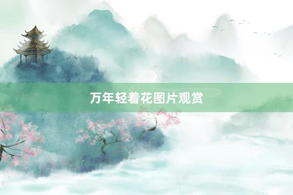 万年轻着花图片观赏