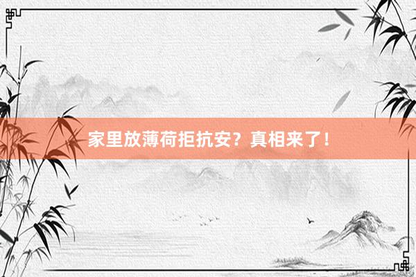 家里放薄荷拒抗安？真相来了！