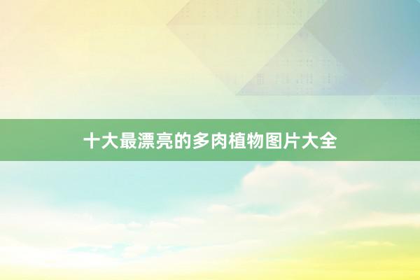 十大最漂亮的多肉植物图片大全