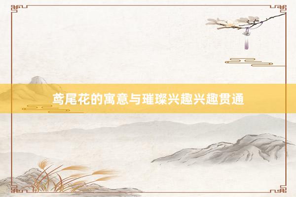 鸢尾花的寓意与璀璨兴趣兴趣贯通